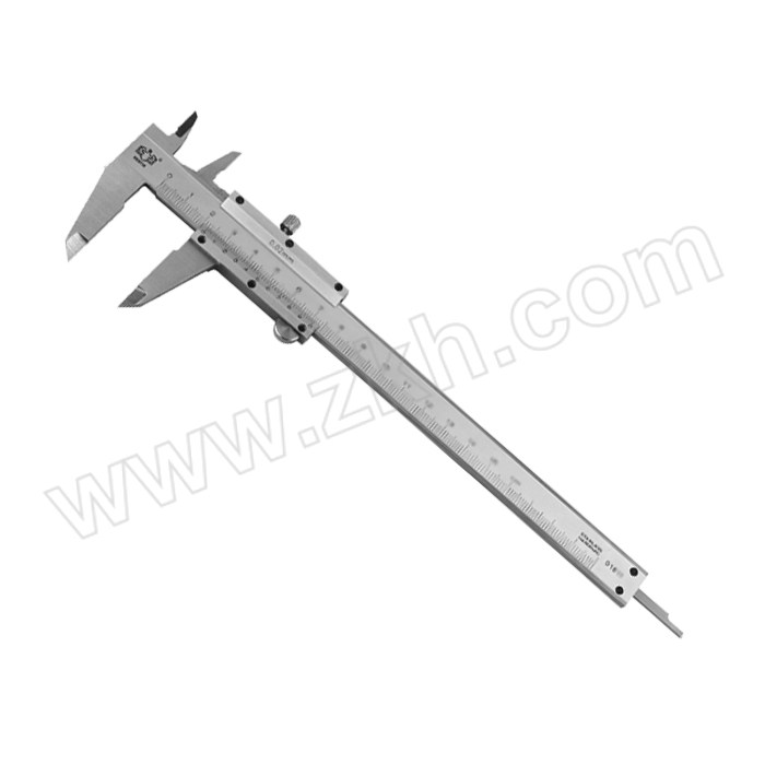 BESTIR/鹰之印 不锈钢四用游标卡尺 BST-01613 0~300mm 不代为第三方检测 1把