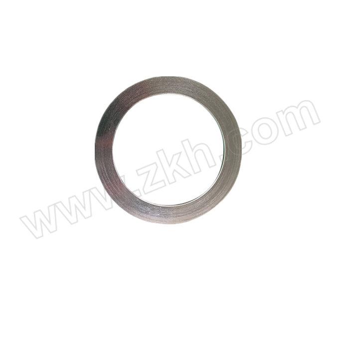 WEM/威尔玛 石墨缠绕垫 DN50 内径50mm 1片