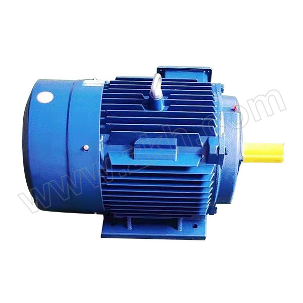 DACHUAN MOTOR/大川电机 三相异步电动机 YE3-200L1-2 30kW B3 1台