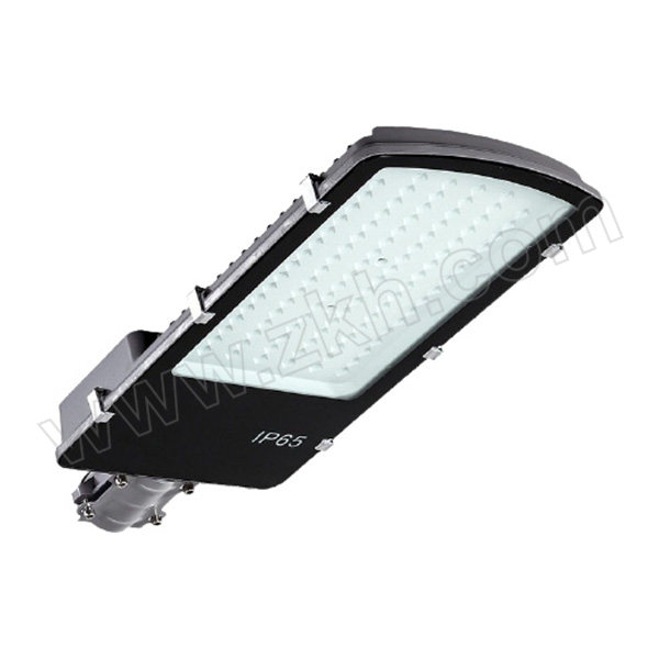 FEIDELANG/飞德朗 纳米金豆路灯头 FDL-NMLDT112-80W 1支