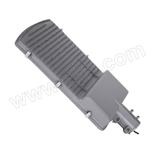 FEIDELANG/飞德朗 纳米金豆路灯头 FDL-NMLDT112-80W 1支