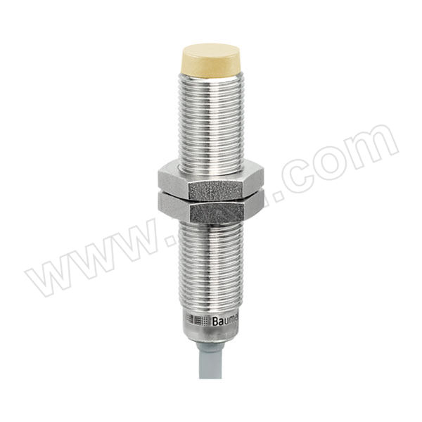 BAUMER/堡盟 电感式接近开关 IFRR 12N13T1/L-9 1个