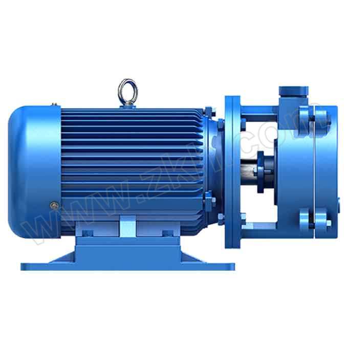 YGMP/阳光泵业 直联水环式真空泵 SK-0.4 铸铁 普通电机 1台