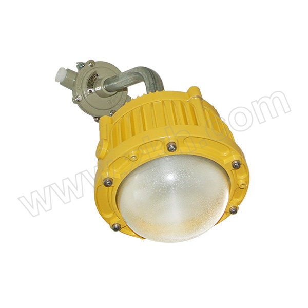 QICHEN/奇辰 LED防爆照明灯 QC-FB001-A/M25W 1个