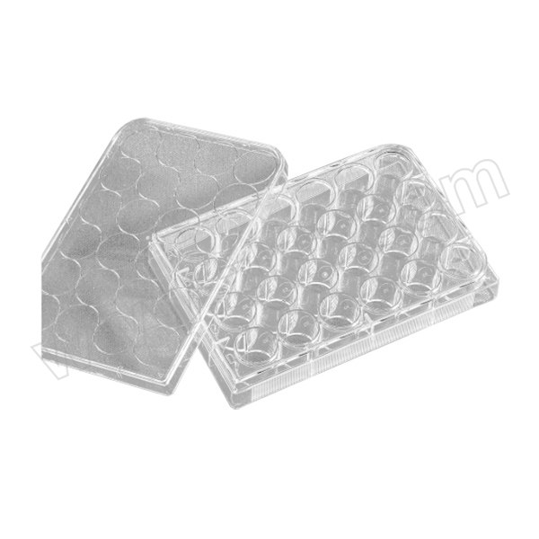 CORNING/康宁 多孔细胞培养板 3337 24孔 透明 平底 CellBIND表面 5块×10包 1箱
