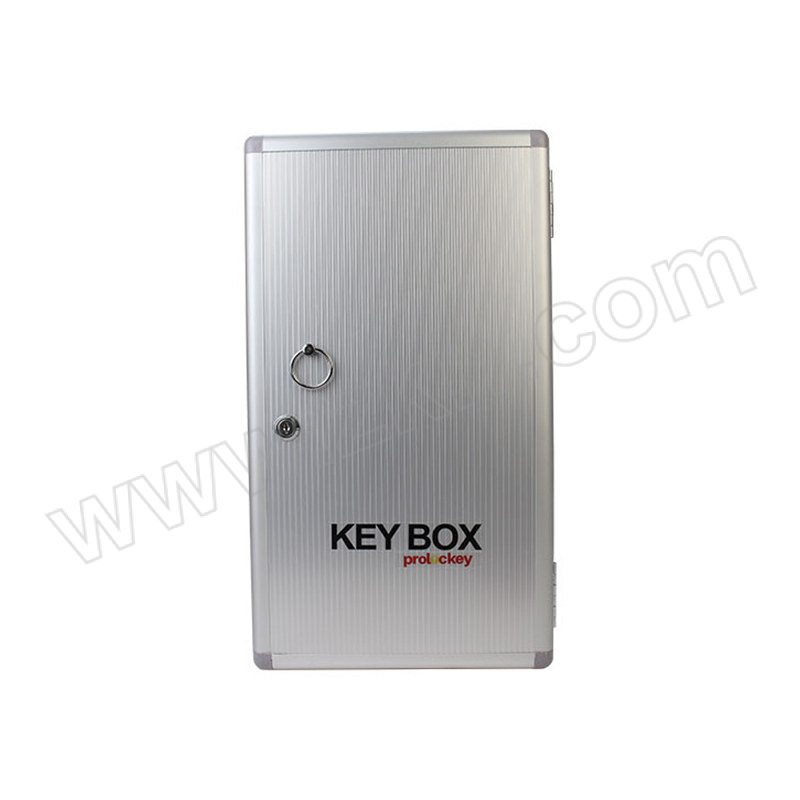 PROLOCKEY/洛科 钥匙箱 KB48 267×475×54mm 48位 1个