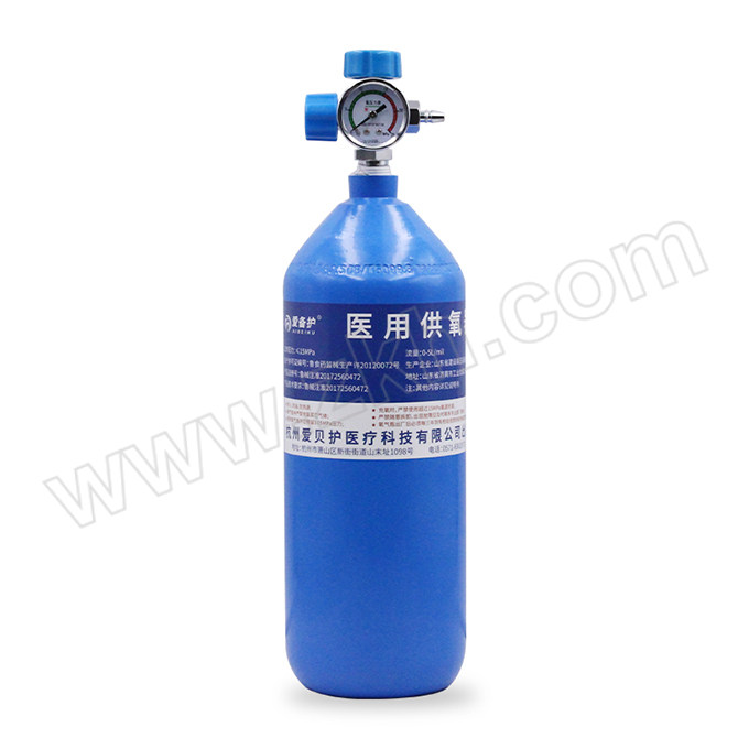 AIBEIHU/爱备护 医用供氧器 2L 1个 空瓶 1套