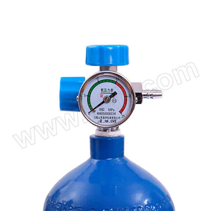 AIBEIHU/爱备护 医用供氧器 2L 1个 空瓶 1套