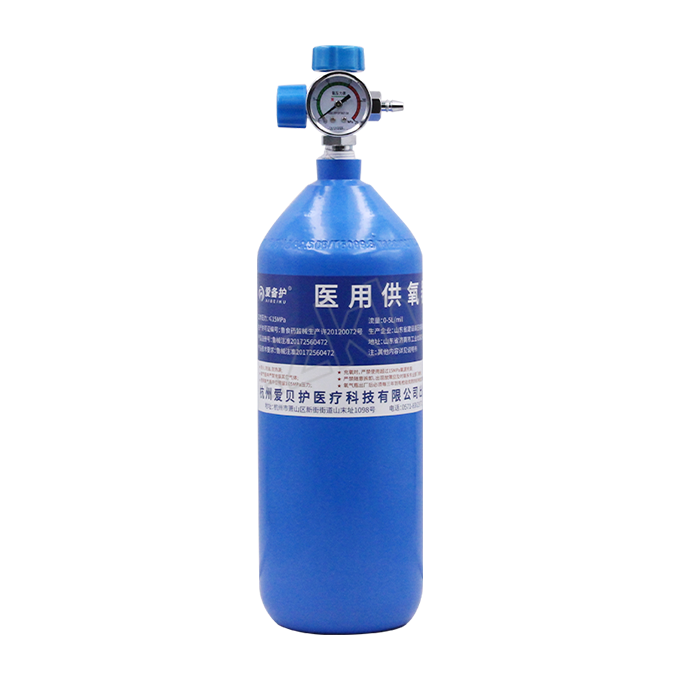 AIBEIHU/爱备护 医用供氧器 2L 1个 空瓶 1套