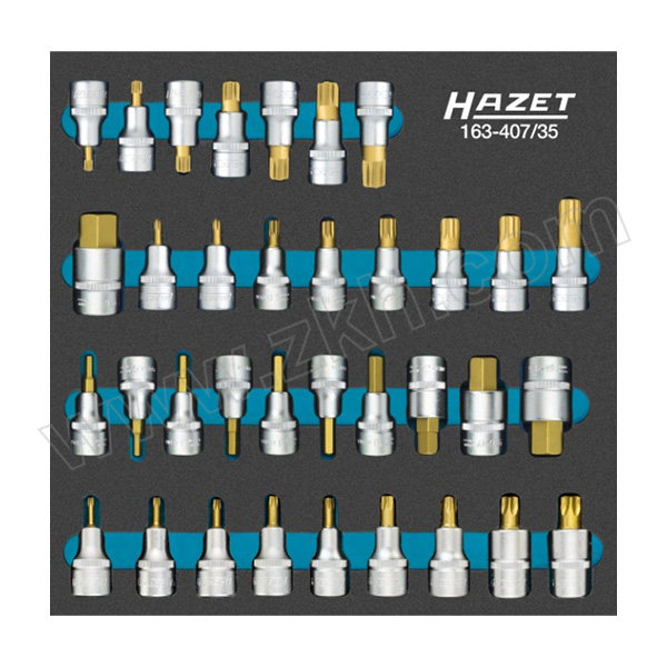 HAZET/哈蔡特 模块旋具套筒套装 163-407/35 35件 1套