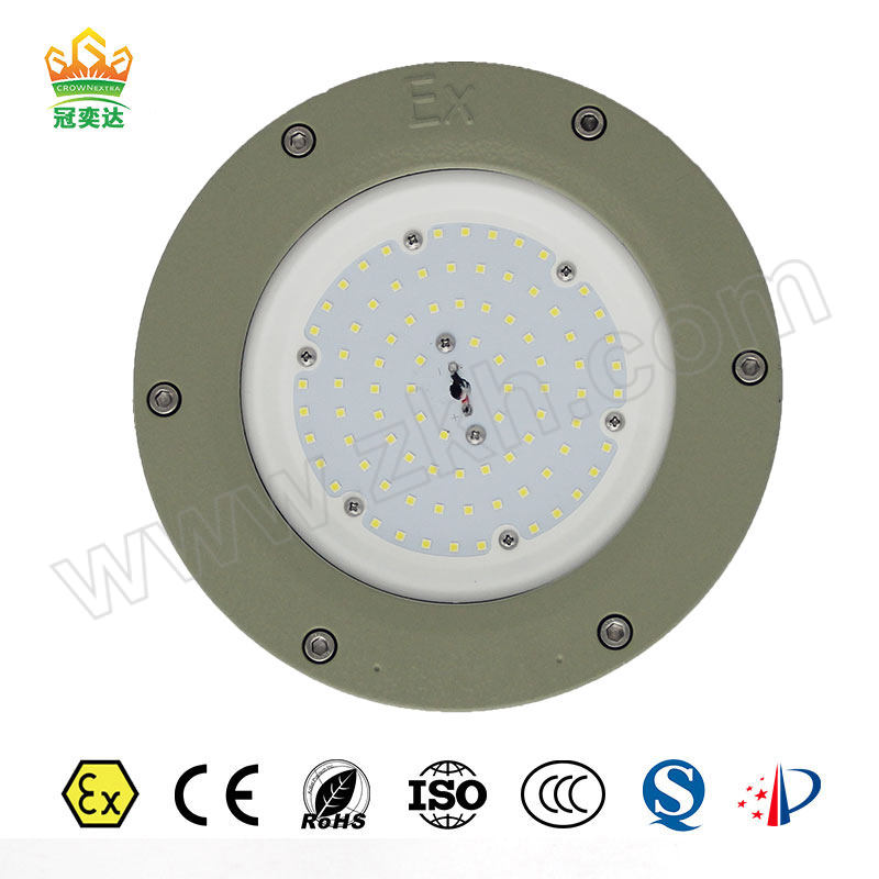 CROWNEXTRA/冠奕达 GYD830防爆投光灯 GYD8301DP-B 50W 经济款 1套
