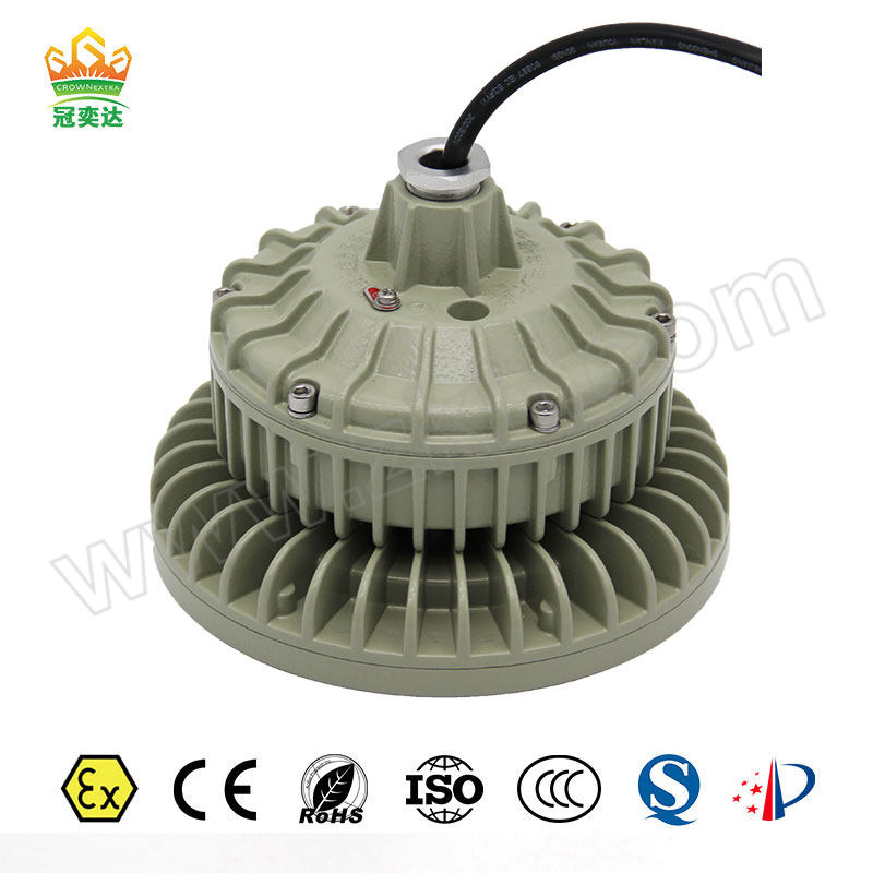 CROWNEXTRA/冠奕达 GYD830防爆投光灯 GYD8301DP-B 50W 经济款 1套