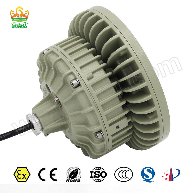 CROWNEXTRA/冠奕达 GYD830防爆投光灯 GYD8301DP-B 50W 经济款 1套