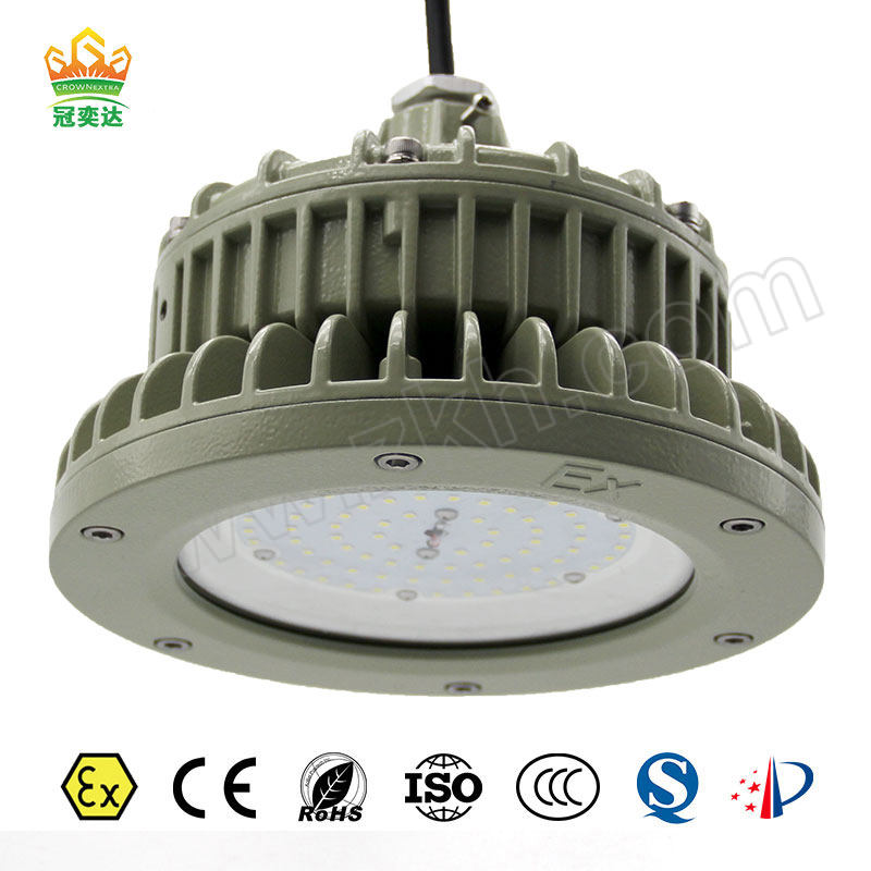 CROWNEXTRA/冠奕达 GYD830防爆投光灯 GYD8301DP-B 50W 经济款 1套