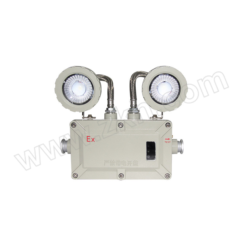 CROWNEXTRA/冠奕达 GYDLED防爆应急灯 GD-ZFZD-E6W 1套
