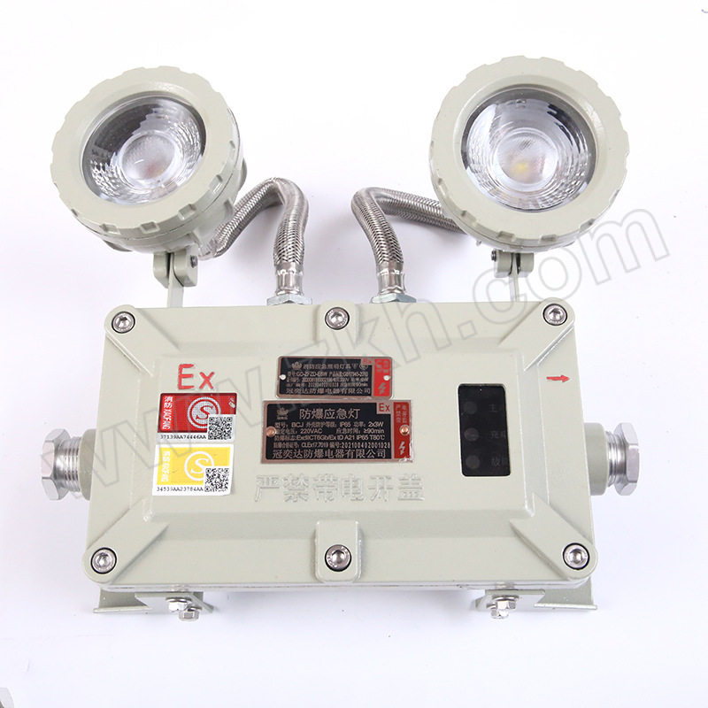 CROWNEXTRA/冠奕达 GYDLED防爆应急灯 GD-ZFZD-E6W 1套