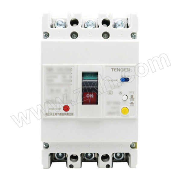 TENGEN/天正 漏电断路器 TGM1L-400M/3300 400A 500mA 0.5s 1个