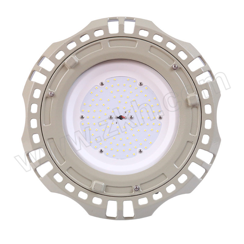 CROWNEXTRA/冠奕达 GYD620防爆灯 GYD6201 50W 1套