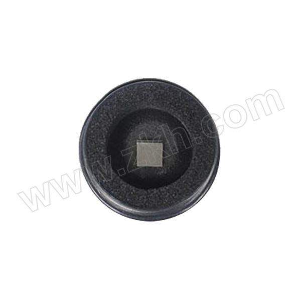 TMYQ/天马仪器 砝码 F2 20mg 304不锈钢 1只