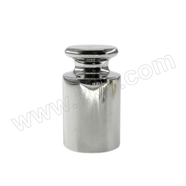 I-QUIP/芯硅谷 普通不锈钢砝码 O3792-05-1EA F2级 规格100g 1个