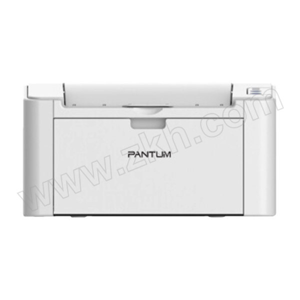 PANTUM/奔图 A4黑白激光打印机 P2507N 适用PD-205 有线/USB 打印 1台