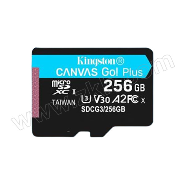 KINGSTON/金士顿 TF(Micro SD)存储卡 SDCG3/256GB 170MB/s 1个