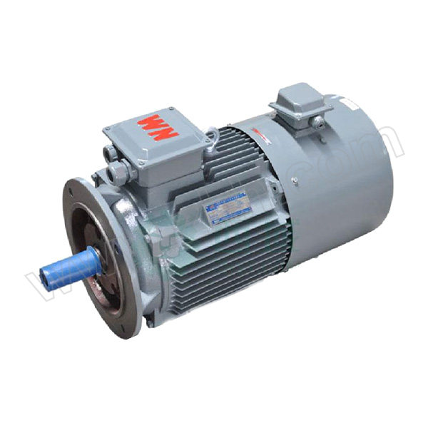 WANNANMOTOR/皖南电机 电机 YXVF-160L-4-WF2 380V 15kW B5 1台