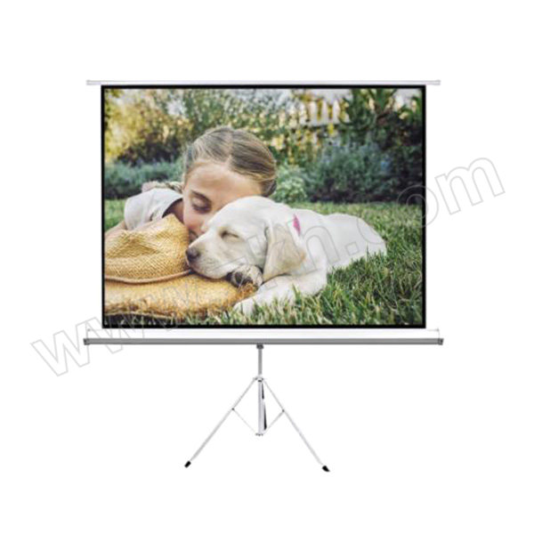 WUYINXIANG/悟印像 白玻纤投影幕布 ZJM1009 100" 16:9 带三角支架 不含安装 1个