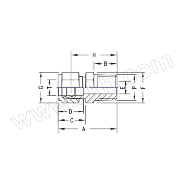 BI/布劳宁 公制管NPT外锥螺纹直通 N2404-12mm-08-SS 1个