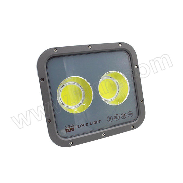 NAIPUDE/耐普德 LED投光灯 AC220V 100W 白光 1个