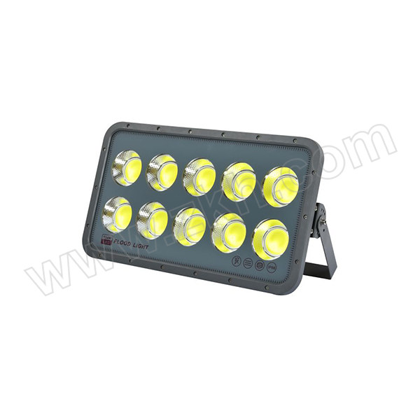 NAIPUDE/耐普德 LED投光灯 AC220V 500W 白光 1个