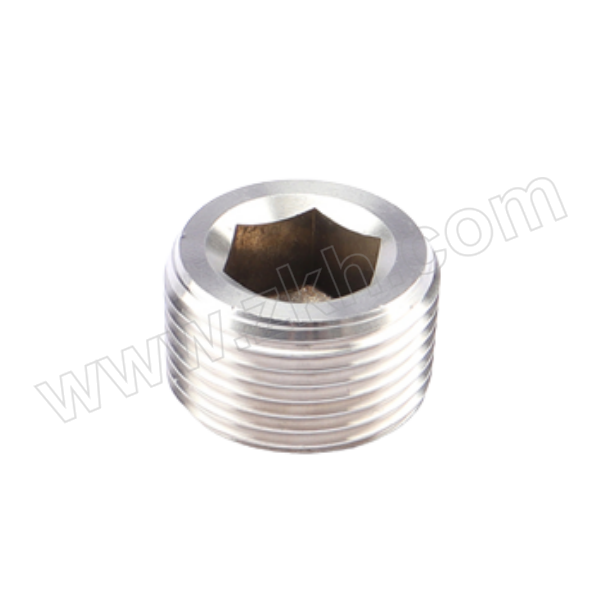 FLYFLOW/福莱福流 304不锈钢内六角堵头 G2 55°密封圆柱管螺纹 1个