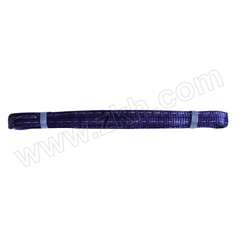 HANXIANG/悍象 扁平吊装带 EB-08-10 载重8t 宽度100mm 周长10m 1条