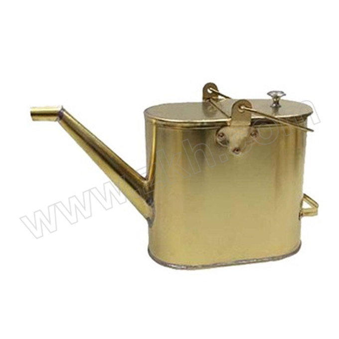ANNYIDAS/安易达思 防爆黄铜半锨盖加油壶 11348A-5-H 5L 1个