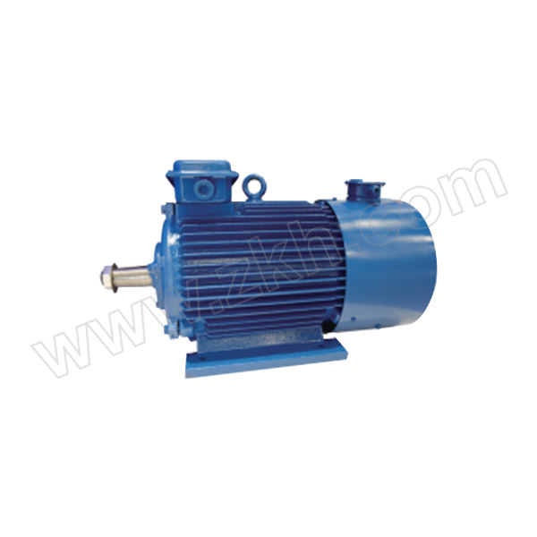 XINYUAN/鑫元 起重及冶金用变频调速三相异步电动机 YZP250M1-6-37kW 卧式 IP54 F级绝缘 双轴 1台