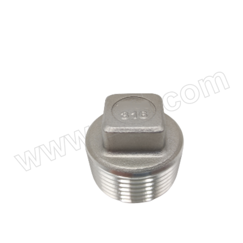 EADEK/灵腾 316不锈钢四角外牙堵头 LT-06A-NPT螺纹 DN15 1/2" 1个