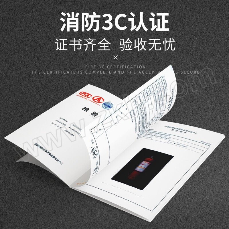 HONGHU/洪湖 手提式干粉灭火器 MFZ/ABC4 灭火剂容量4kg 红色 1个