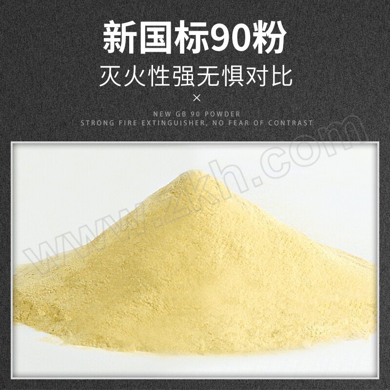 HONGHU/洪湖 手提式干粉灭火器 MFZ/ABC4 灭火剂容量4kg 红色 1个