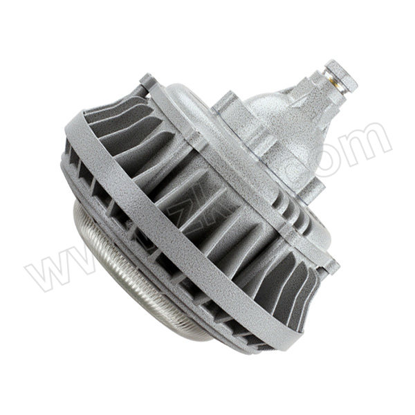 ELX/电力士 LED防爆灯 LDC011Ex(A)-LED100W 支架式/吸顶式/吊杆式/壁式 1套