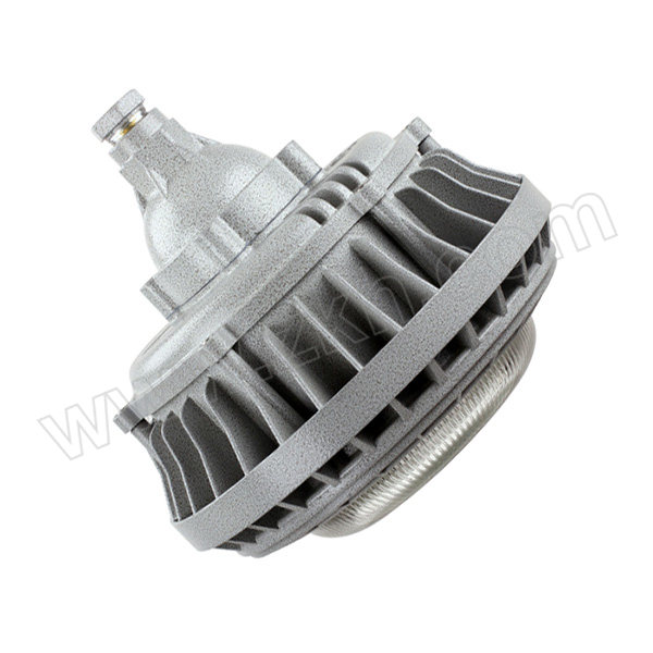 ELX/电力士 LED防爆灯 LDC011Ex(A)-LED100W 支架式/吸顶式/吊杆式/壁式 1套