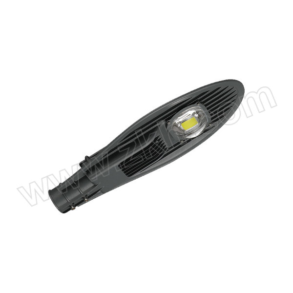 NAIPUDE/耐普德 LED宝剑路灯 50W 白光 1支