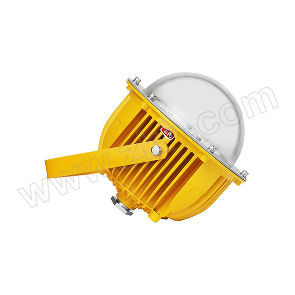 SZZG/深照紫光 LED防爆灯 GB8035-30W 220V 30W 5000K 支架安装 泛光 1个