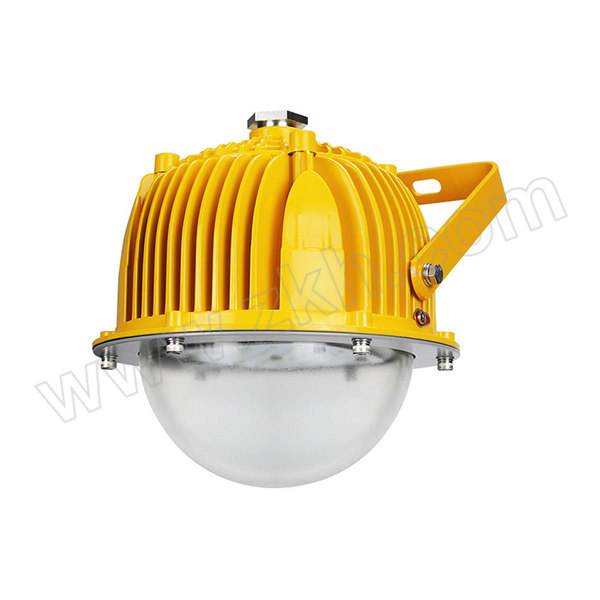 SZZG/深照紫光 LED防爆灯 GB8035-30W 220V 30W 5000K 支架安装 泛光 1个