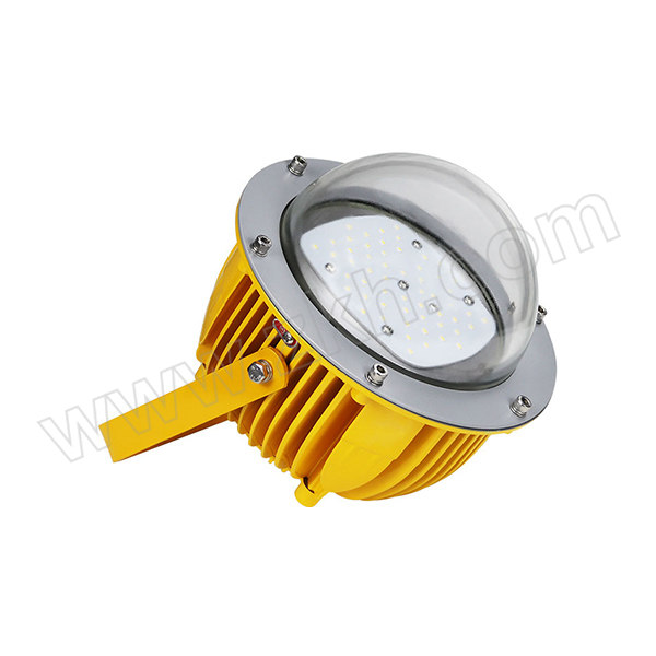 SZZG/深照紫光 LED防爆灯 GB8035-30W 220V 30W 5000K 支架安装 泛光 1个