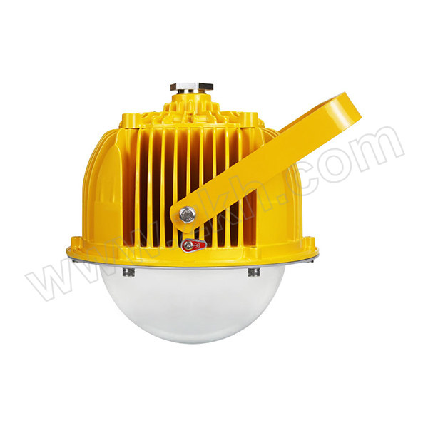 SZZG/深照紫光 LED防爆灯 GB8035-30W 220V 30W 5000K 支架安装 泛光 1个
