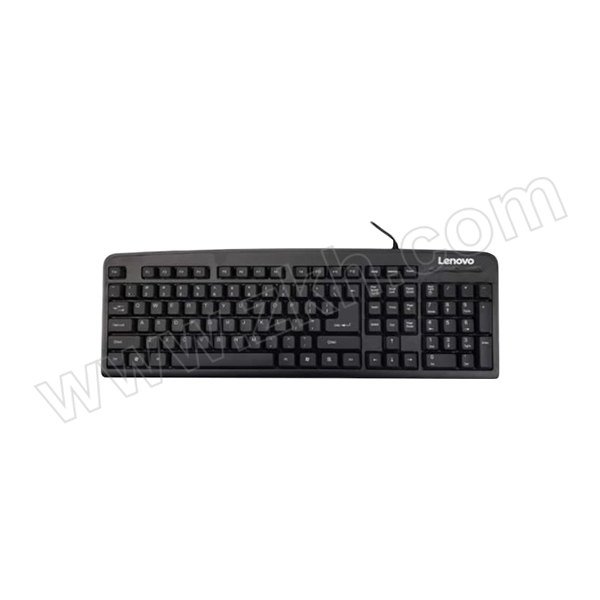 LENOVO/联想 有线键盘 K4800S 黑色 1个