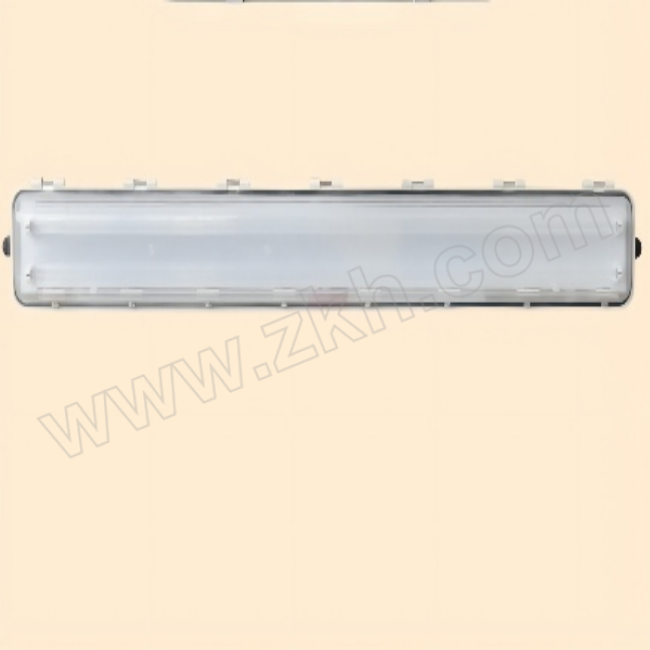 BANGYA/邦亚电气 防爆LED荧光灯 CBQY-I-2×18g1 塑壳 防爆灯管LED2×18W  ExdembIICT6 IP66 2×M25 配防爆格兰 1个