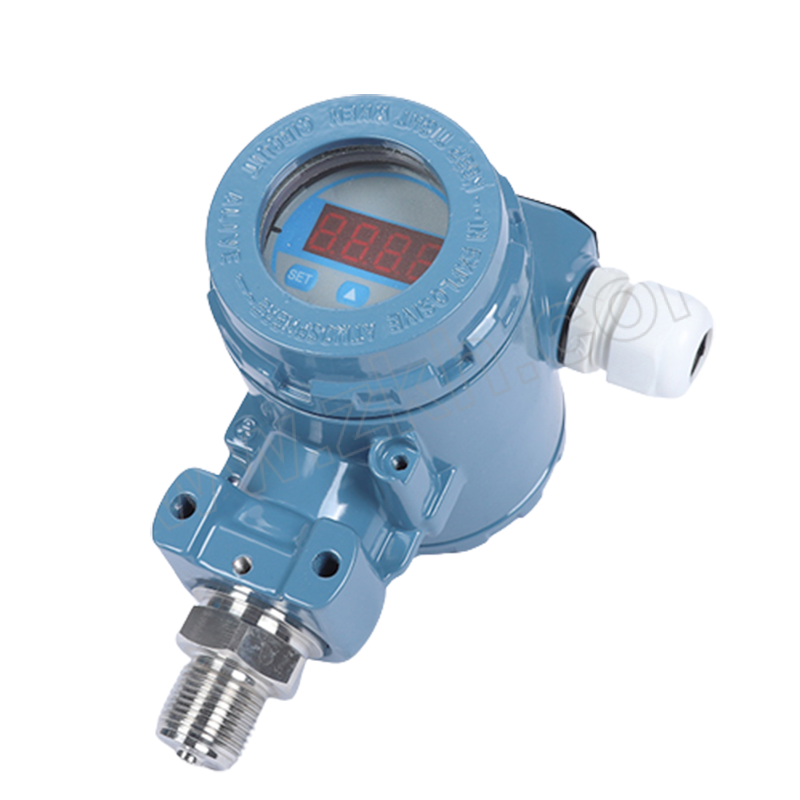 QIZIYI/齐自仪 压力变送器 P2088-22AT(-0.1~0.1MPa) 1/2NPT螺纹安装 数码显示 4~20mA两线制 1个