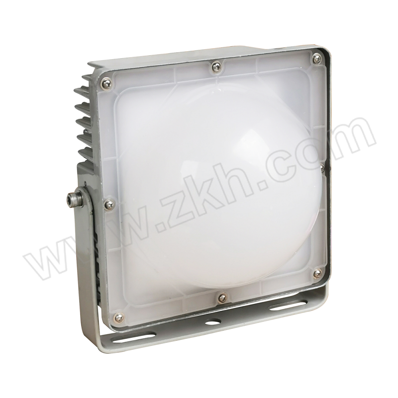 HS/恒盛照明 LED泛光平台灯 NWF212A-100W 100W 1台
