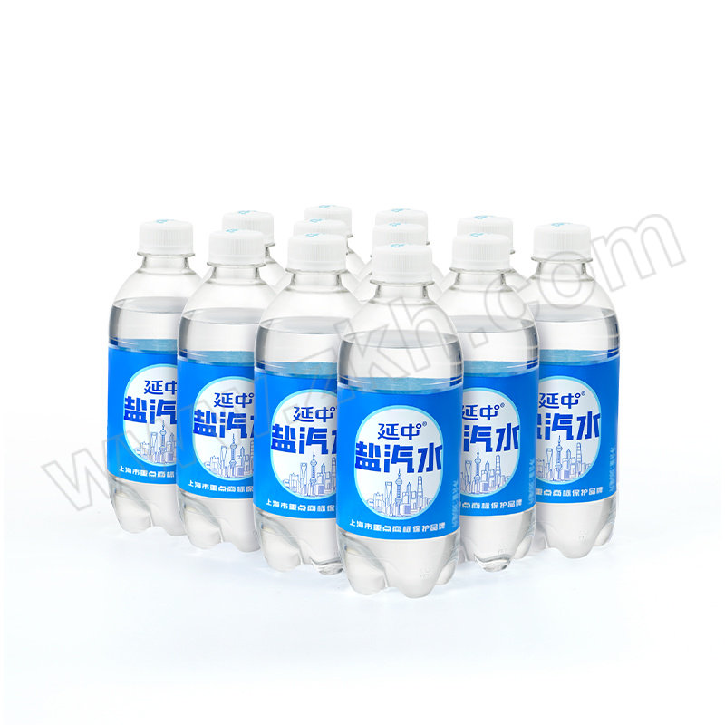 YANZHONG/延中 盐汽水 380mL×12 1件